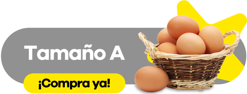 Tamaño A