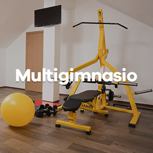 multigimnasio