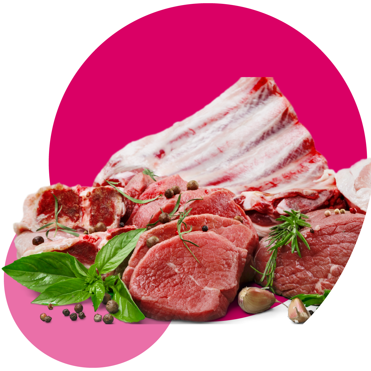 Carnes