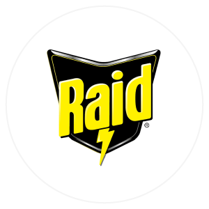 Raid