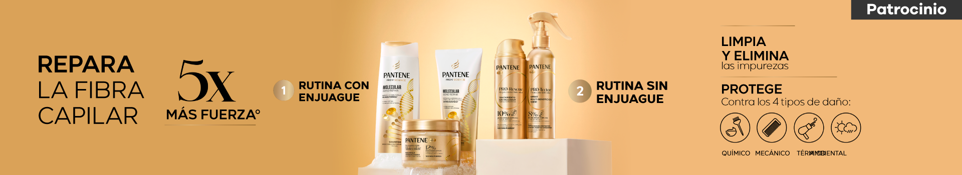 Pantene Pantene