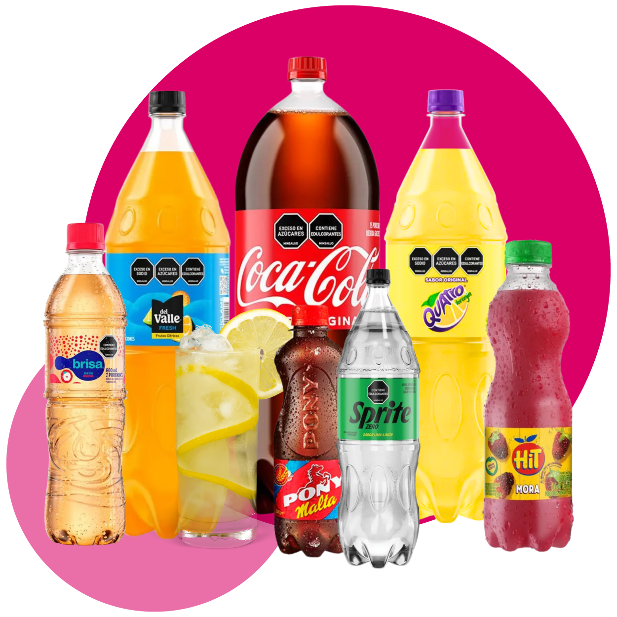 Bebidas
