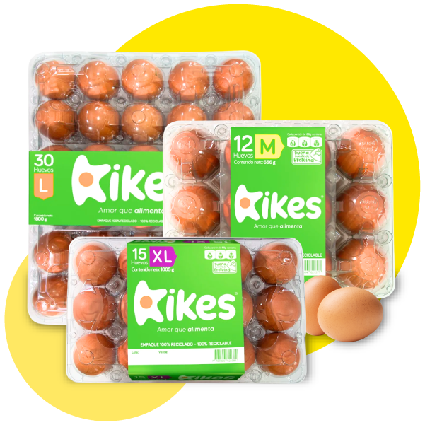 Kikes